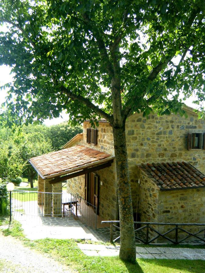 Agriturismo Ombianco Seggiano ภายนอก รูปภาพ